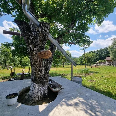 Casa Primitoare In Inima Naturii Si Padurii Rasca  Dış mekan fotoğraf