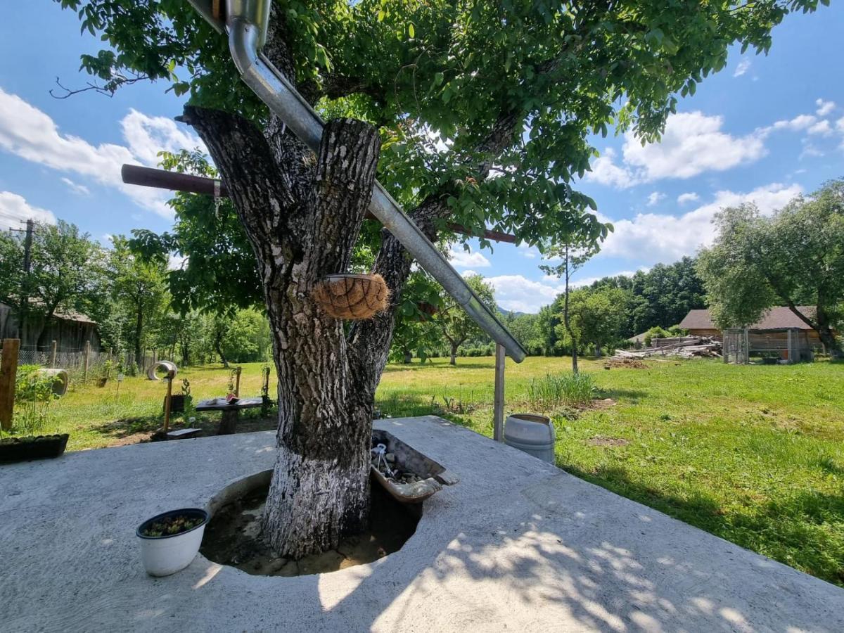 Casa Primitoare In Inima Naturii Si Padurii Rasca  Dış mekan fotoğraf