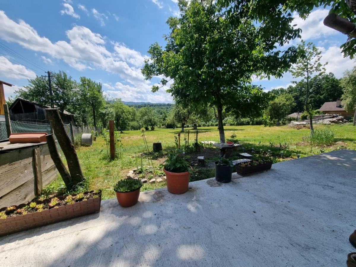 Casa Primitoare In Inima Naturii Si Padurii Rasca  Dış mekan fotoğraf