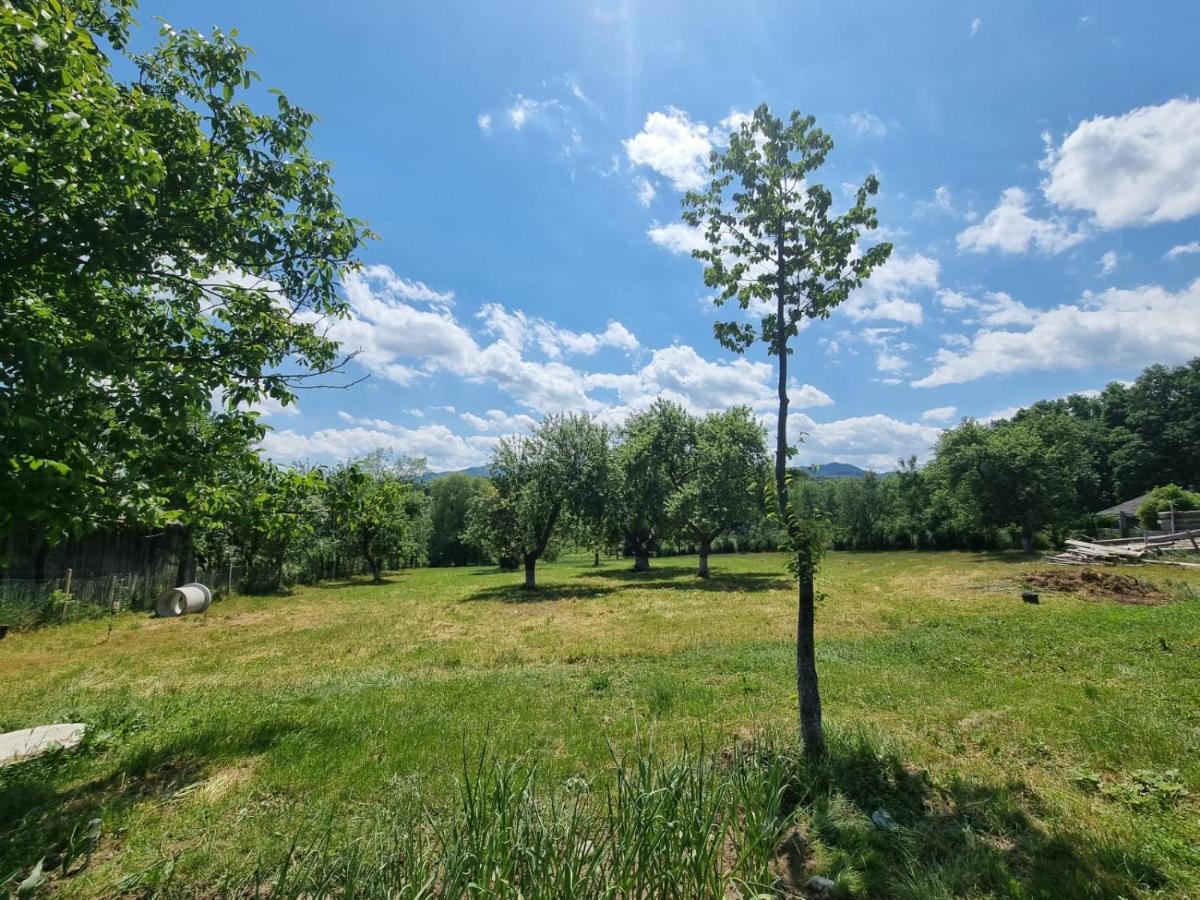 Casa Primitoare In Inima Naturii Si Padurii Rasca  Dış mekan fotoğraf